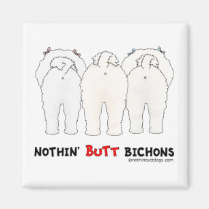 Nichts Hintern Bichons Magnet