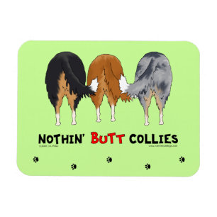 Nichts Hintern-Collies Magnet