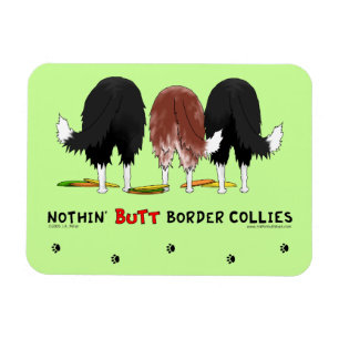 Nichts Hintern-GrenzCollies Magnet