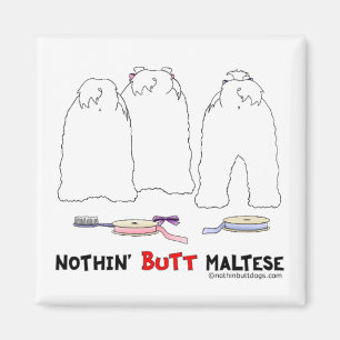 Nichts Hintern maltesisch Magnet