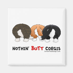 Nichts HinternCorgis Magnet