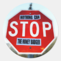 Nichts kann den Honey Badger stoppen