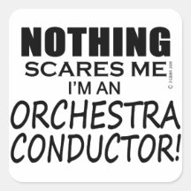 Nichts stört mich Orchesterdirigent