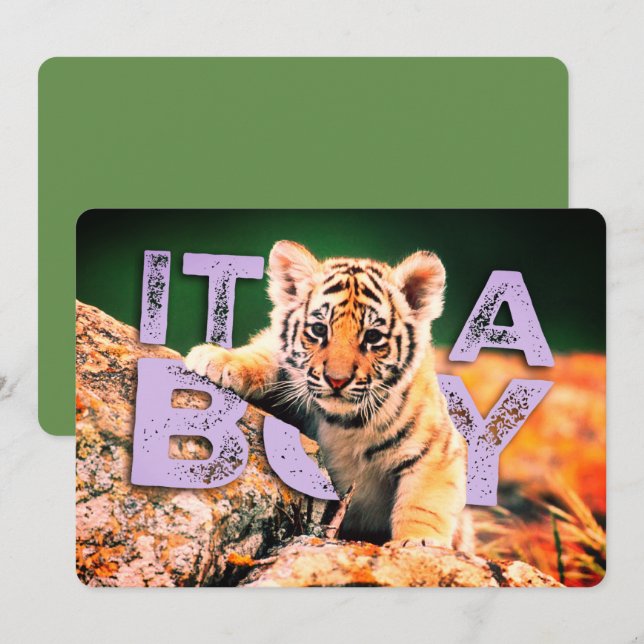 Nick-David-Baby - Tiger-Duschen-Einladung Einladung (Vorne/Hinten)