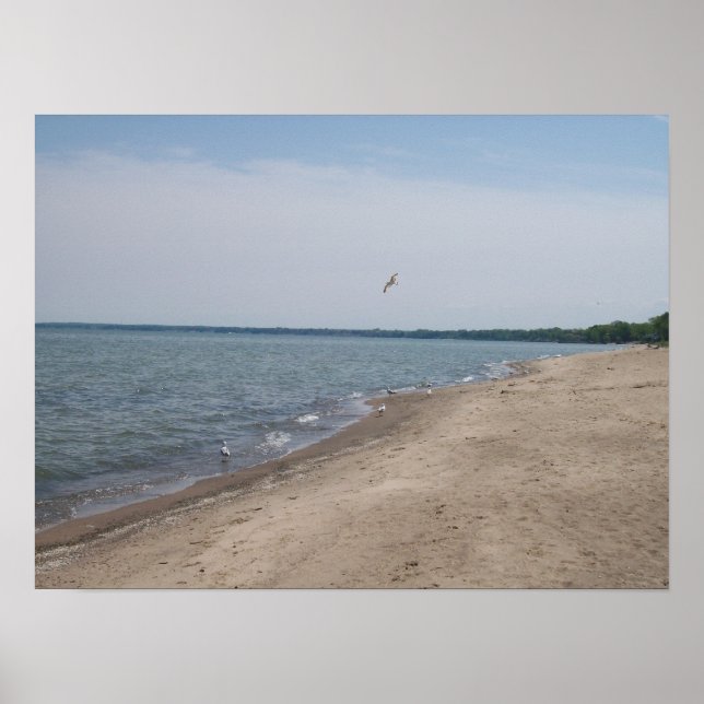 Nickel Plate Beach Huron, Ohio Poster (Devant)