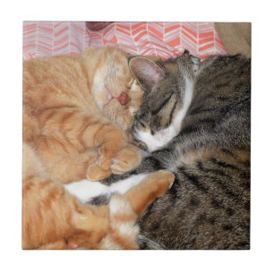 Nickerchen Buddies Fliese