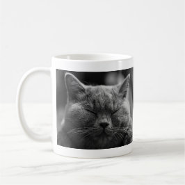 Nickerchen machende graue Katze Kaffeetasse