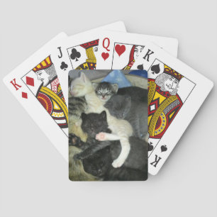 Nickerchen machende Kätzchen-Spielkarten, Spielkarten