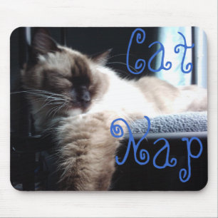 Nickerchen machende Ragdoll Katze Mousepad