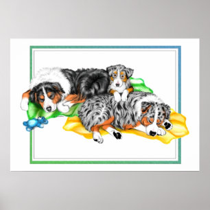Nickerchen Poster der australischen Schäferfamilie