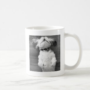 Nickerchen Shih Tzu Kaffeetasse