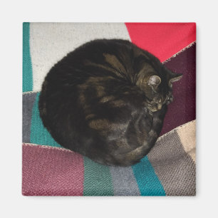 Nickerchen Time Dave Square Magnet