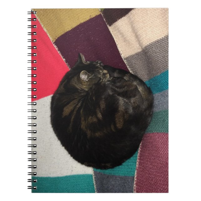 Nickerchen Time Spiral Foto Notebook Notizblock (Vorderseite)