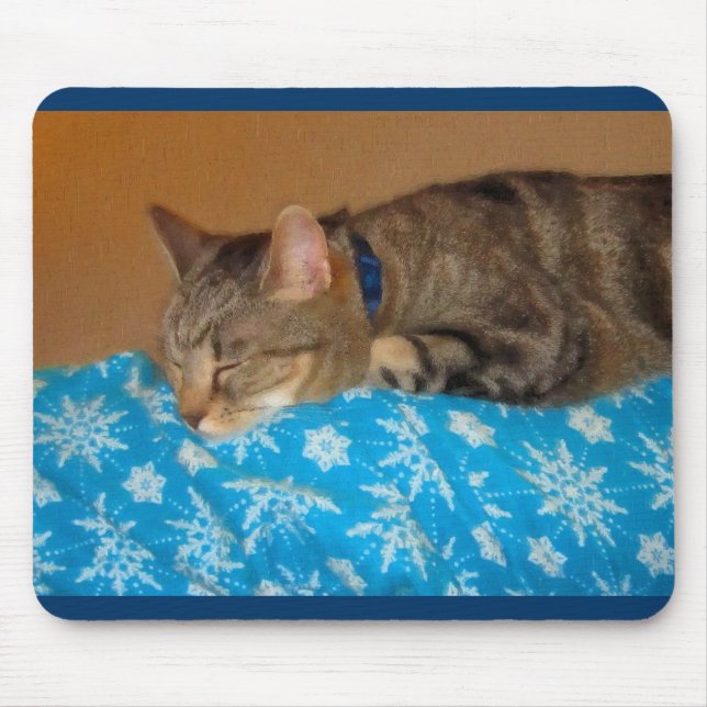 Nickerchen-Zeit für Indizierungen Mousepad (Vorne)