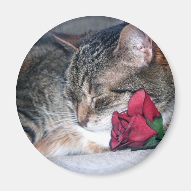 Nicky & A Rose Magnet (Vorne)