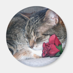 Nicky u. ein Rosen-Magnet Magnet