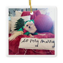 Nico Weihnachtsschmuck 2024