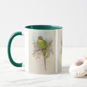 Nicobar-Sittich von John Gould Tasse