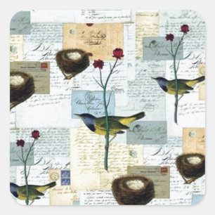 Nids et petits oiseaux - Autocollant carré