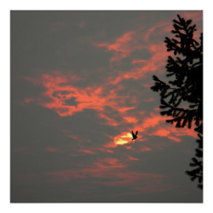 Nie mehr der Raven... Poster