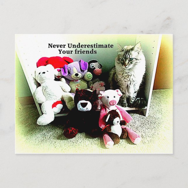 Nie unterschätzen Freunde Postkarte (Vorderseite)