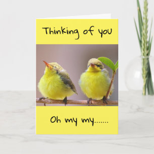 NIE WUSSTEN, WIE VIEL ICH "FEHLEN SIE" KARTE WÜRDE