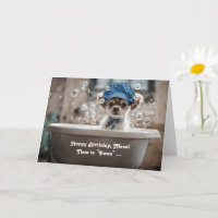 Niece Happy Birthday Niedlich Chihuahua Typ Welpen
