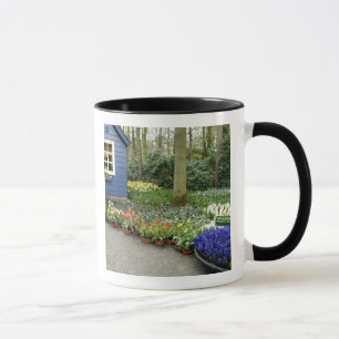 Niederlande alias Holland), Lisse. Keukenhof 11 Tasse