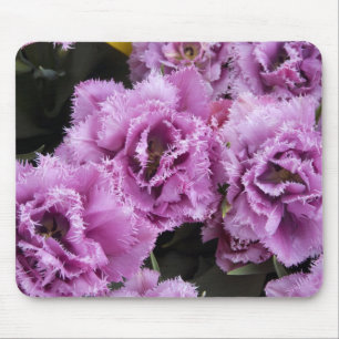 Niederlande (alias Holland), Lisse. Keukenhof 2 Mousepad