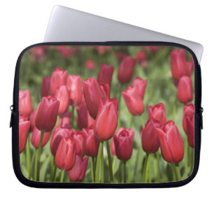 Niederlande (alias Holland), Lisse. Keukenhof 4 Laptopschutzhülle