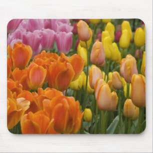 Niederlande alias Holland), Lisse. Keukenhof 9 Mousepad