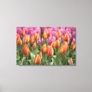 Niederlande (alias Holland), Lisse. Keukenhof Leinwanddruck