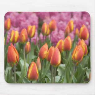 Niederlande (alias Holland), Lisse. Keukenhof Mousepad