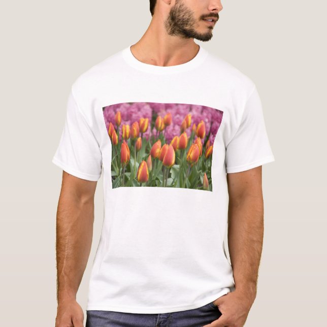 Niederlande (alias Holland), Lisse. Keukenhof T-Shirt (Vorderseite)