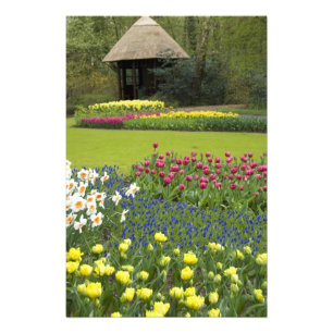 Niederlande, auch bekannt als Holland), Lisse. Keu Fotodruck
