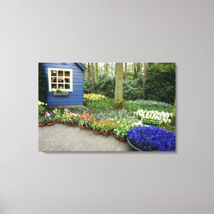 Niederlande (auch bekannt als Holland), Lisse. Keu Leinwanddruck