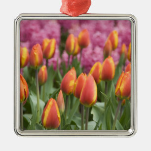 Niederlande (auch bekannt als Holland), Lisse. Keu Silbernes Ornament