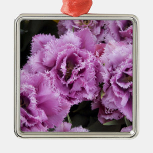 Niederlande (auch bekannt als Holland), Lisse. Keu Silbernes Ornament