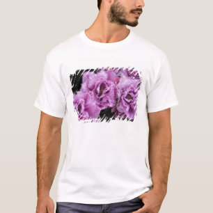 Niederlande (auch bekannt als Holland), Lisse. Keu T-Shirt
