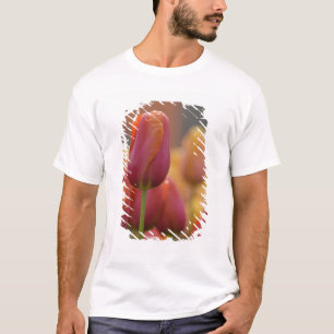 Niederlande, auch bekannt als Holland), Lisse. Keu T-Shirt