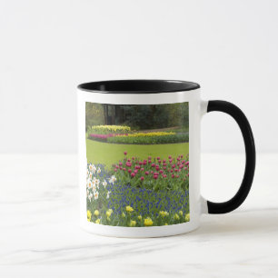 Niederlande, auch bekannt als Holland), Lisse. Keu Tasse