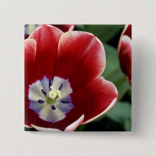 Niederlande (auch Holland genannt), Lisse. Keukenh Button
