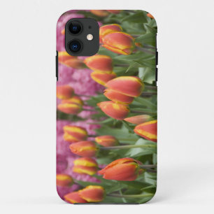 Niederlande (auch Holland genannt), Lisse. Keukenh Case-Mate iPhone Hülle