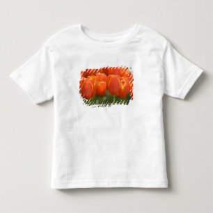 Niederlande (auch Holland genannt), Lisse. Keukenh Kleinkind T-shirt