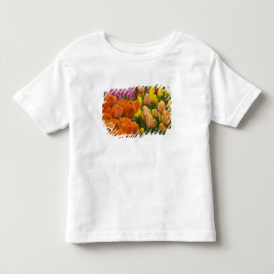 Niederlande (auch Holland genannt), Lisse. Keukenh Kleinkind T-shirt