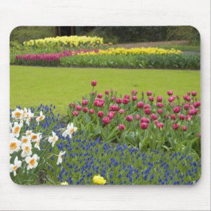 Niederlande (auch Holland genannt), Lisse. Keukenh Mousepad