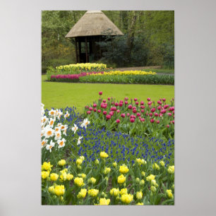 Niederlande (auch Holland), Lisse. Keukenhof 5 Poster
