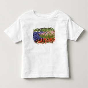 Niederlande (auch Holland), Lisse. Keukenhof 8 Kleinkind T-shirt
