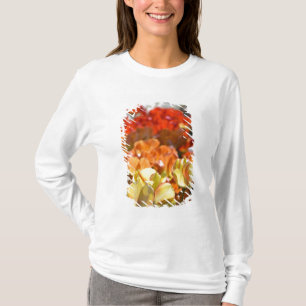 Niederlande (auch Holland), Lisse. Keukenhof T-Shirt
