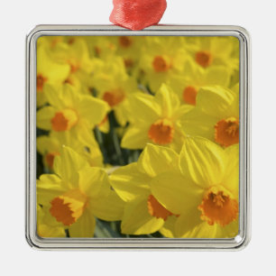 Niederlande, Holland, Lisse, Keukenhof Gardens, Ornament Aus Metall